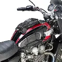 T10N_Bonneville (1).webp