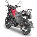 Benelli Leoncino (2017)_retro_MT501S.webp