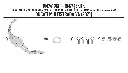Captura de pantalla 2026-01-28 a la(s) 10.22.27 a. m..webp
