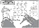 Screenshot 2026-02-11 at 4.10.24 PM.webp