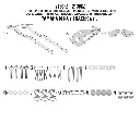 Screenshot 2026-02-11 at 5.06.30 PM.webp