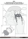 bf16_instrucciones_03