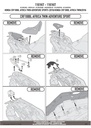 1161kit_instrucciones_02