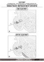 sld2139kit_instrucciones_05