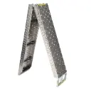 Rampa Plegable Ac. Inox 195Cm X 22Cm