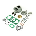 Kit de Cilindro Aumentado Ø 53 mm, 106 cc con Exhaust Valve Kit y Tapa Modular